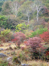 2007Oct14前日光8