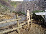 林道