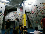 2008Mayhoa-hoa1