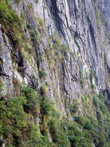 2007Oct7谷川南稜線05