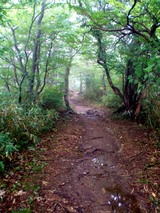 2007Jul14那須10