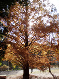 PB210095
