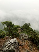 IMG_3255