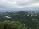 IMG_3606