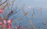 IMG_2441