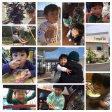 collage1