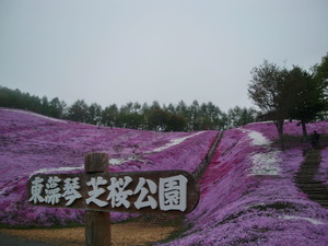 CIMG2502
