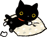 靴下にゃんこ くろねこのにっき