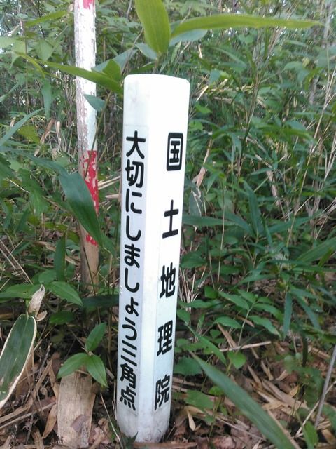 eb384abb-s