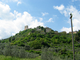 to Maremma 6