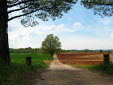 Toscana scene