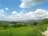 to Maremma 7