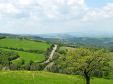 to Maremma 8