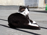 2005gw_0509_10.jpg