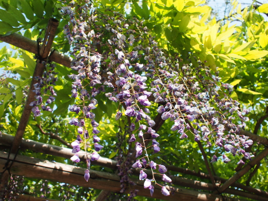 89a923b6.jpg