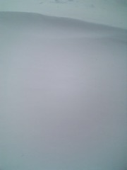 6e3643c0.jpg