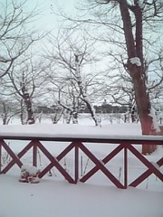 6f899509.jpg
