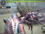 蟹と死神