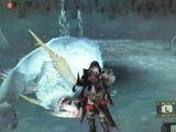 ドドブラ乱獲