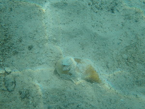 P5220484