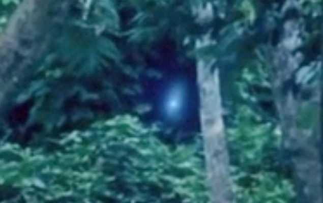 alien4_1395170a