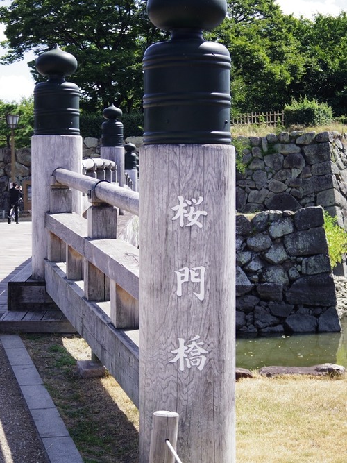 IMGP1443-1
