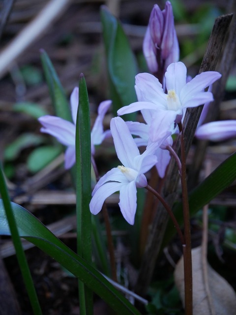 P1120842