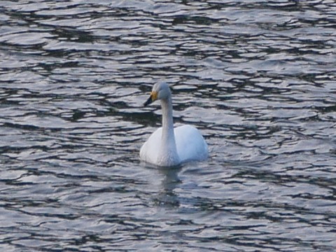 P1120939