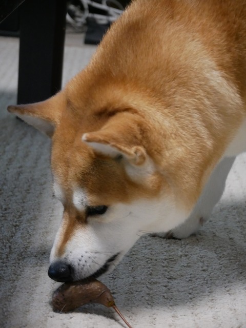 P1080120