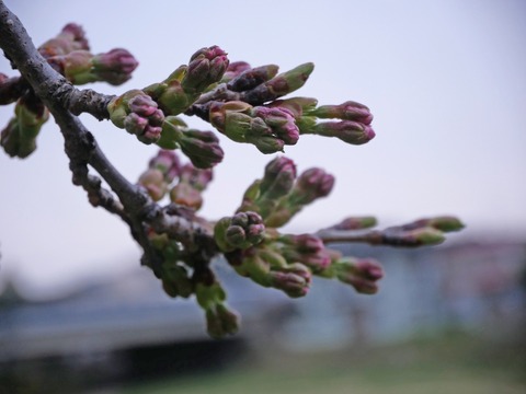 P1120885