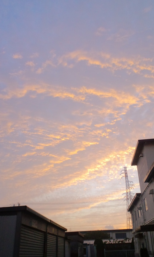 CA3G0376