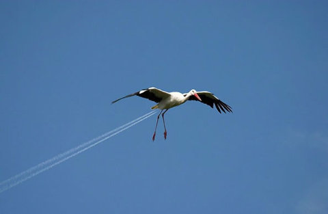 13637d7a.jpg