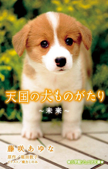 犬 天国