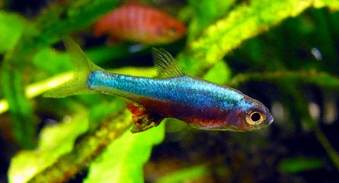 24386cf1.jpg