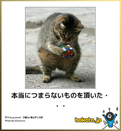 bokete つまらない