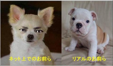 おまいら