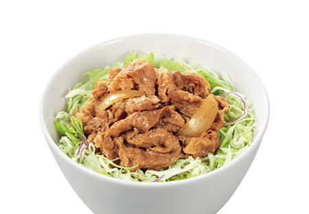 photo_gyudon_101200