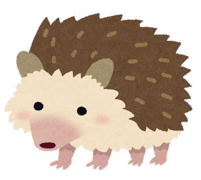 ハリネズミ