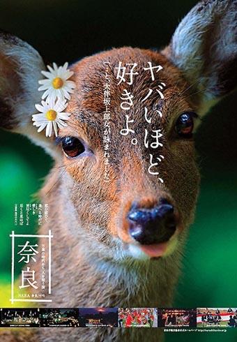 鹿