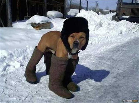 meanwhile-in-syberia