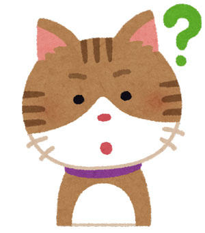 猫　疑問
