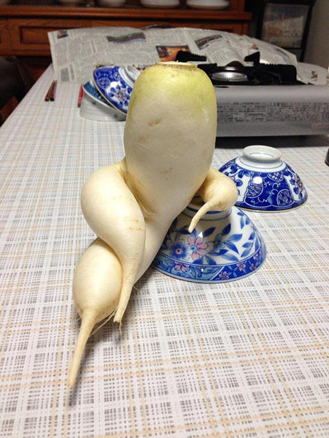 おもしろ画像