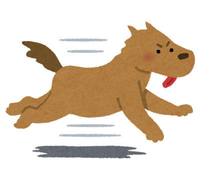 犬