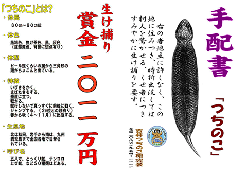 つちのこ