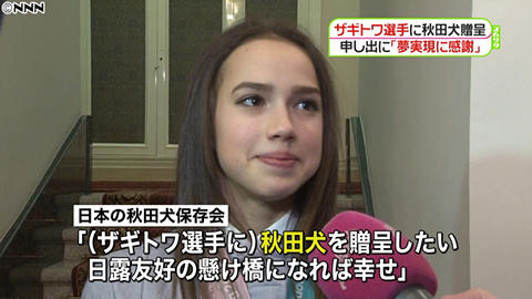 秋田犬