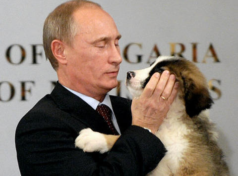 プーチン 犬