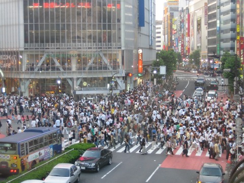 org2563503