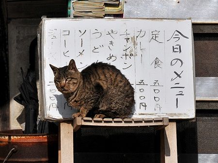 定食屋 看板