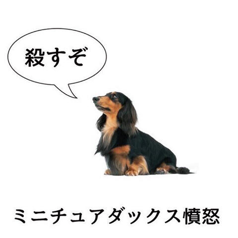 おもしろ画像
