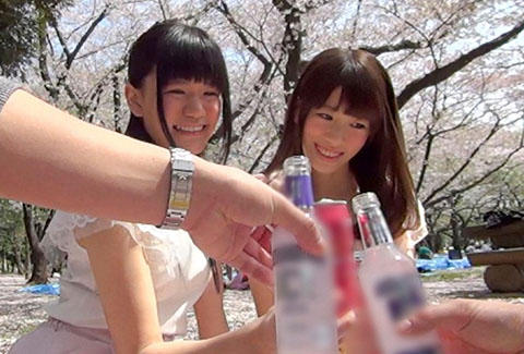 お花見